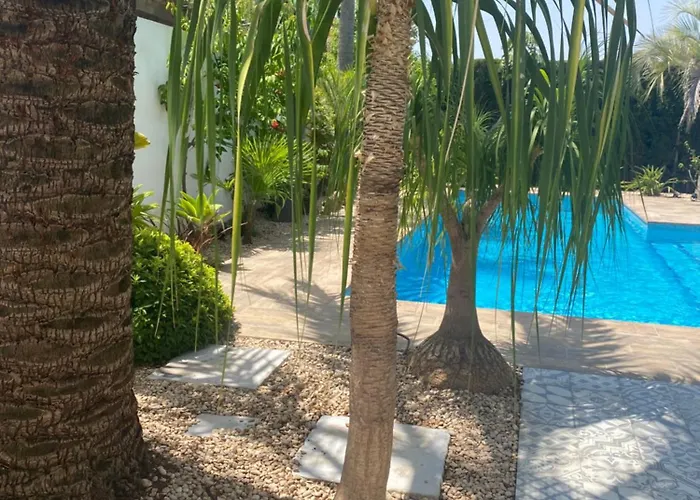 Nyaraló Bohospanishvilla *